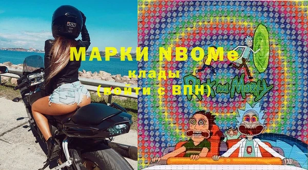 гашик Зеленокумск
