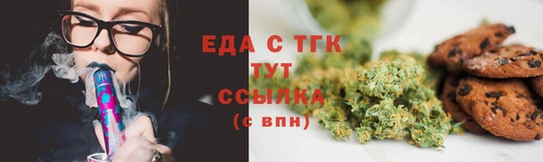 твердый Зеленодольск