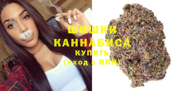 гашик Зеленокумск