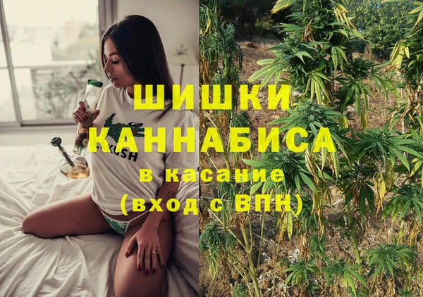 твердый Зеленодольск
