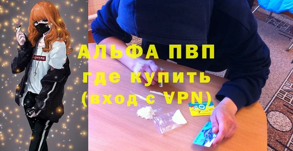гашик Зеленокумск