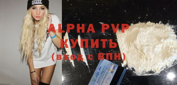 гашик Зеленокумск