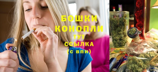 гашик Зеленокумск