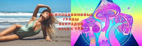 твердый Зеленодольск