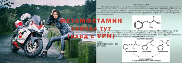 гашик Зеленокумск
