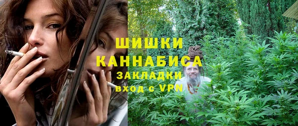 твердый Зеленодольск