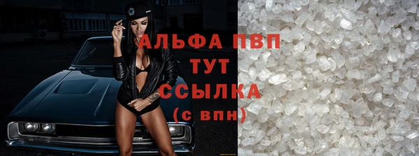 гашик Зеленокумск